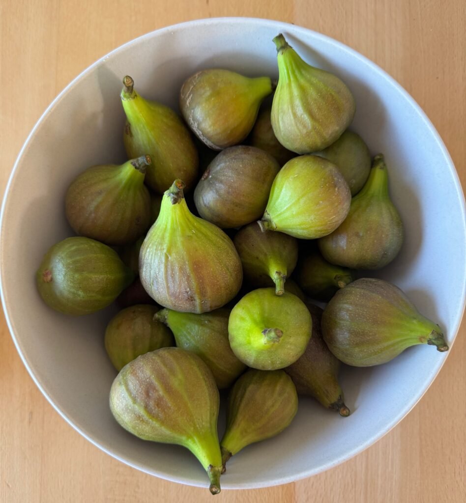 Figs